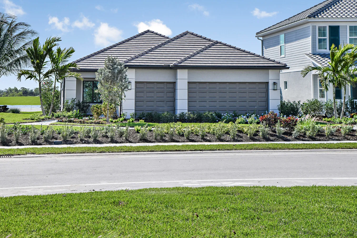 Meadow Brook